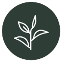 Certified Organic